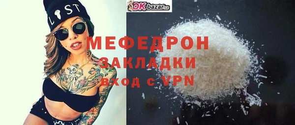 индика Козельск