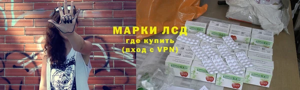 индика Козельск