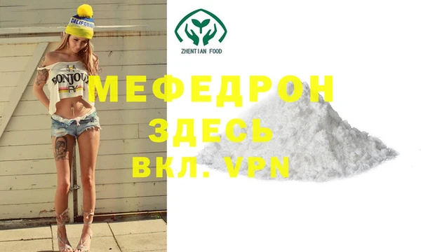 индика Козельск