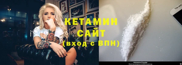 индика Козельск