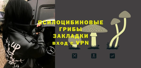 молекула духа Кодинск