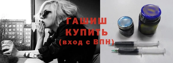 индика Козельск