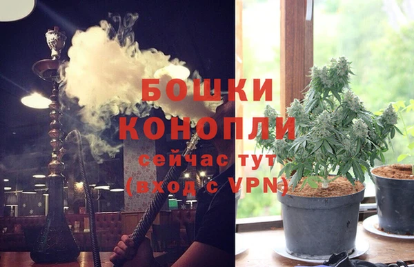 молекула духа Кодинск