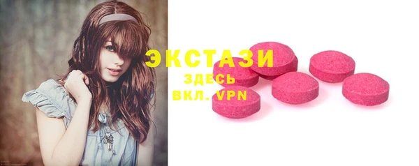 индика Козельск