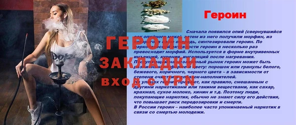 индика Козельск