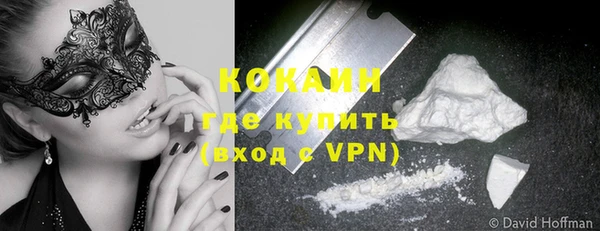 индика Козельск