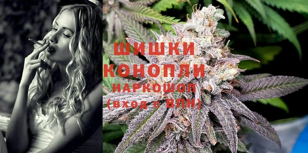 индика Козельск