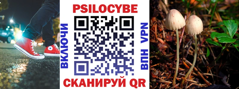 Галлюциногенные грибы Cubensis  где купить наркоту  Минусинск 