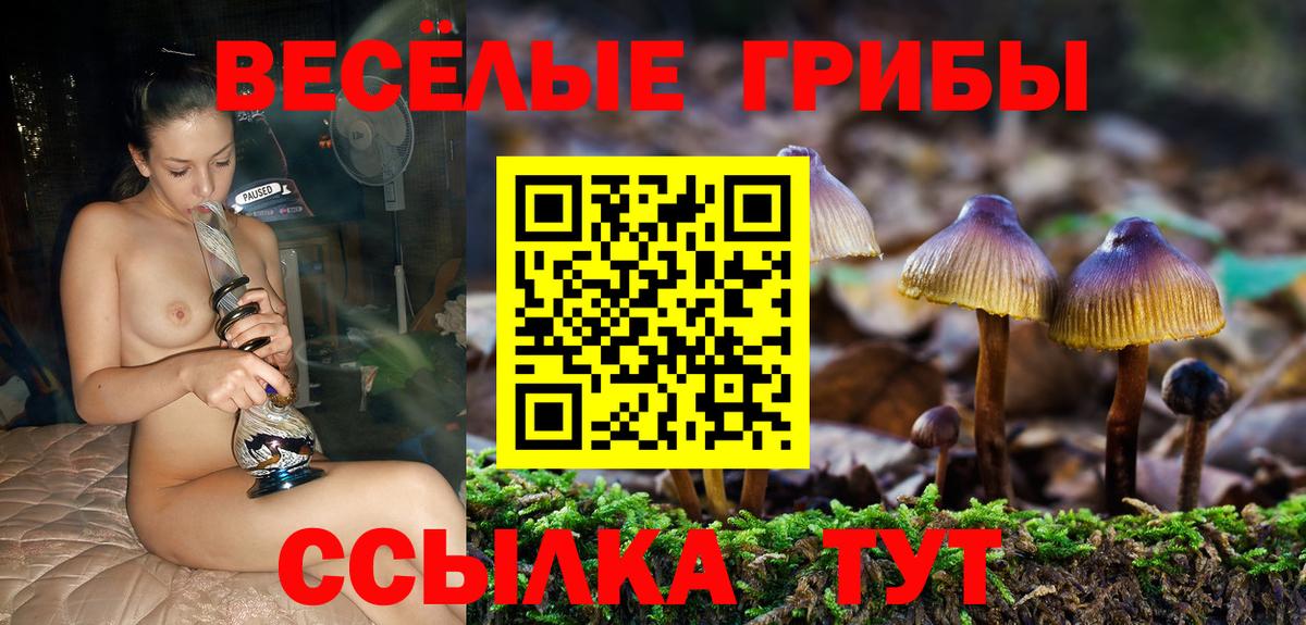 Галлюциногенные грибы MAGIC MUSHROOMS  купить  сайты  Минусинск  Вход с VPN  Псилоцибиновые грибы прущие грибы 